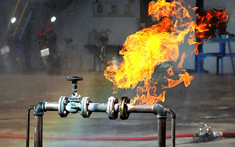 Sector sensible donde una filtración puede generar daño